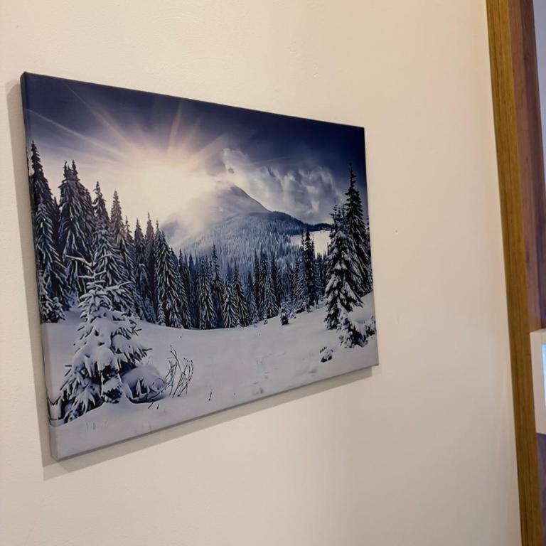Apartman "A" Residence Hill Kopaonik - Apartman sa 1 Spavaćom Sobom - 12