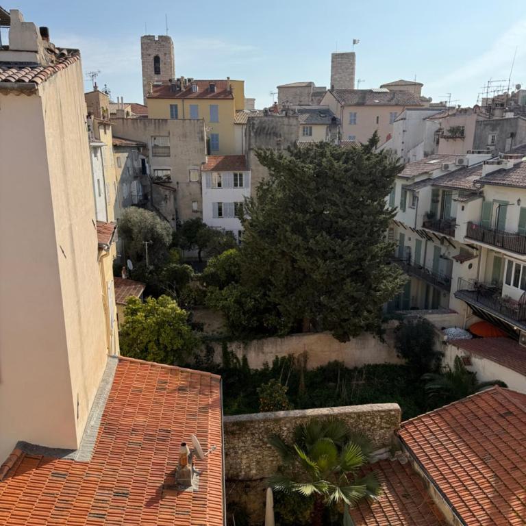 #202-Heart of Vieil Antibes - Place Nationale-High-End Newly Renovated & Furnished Appartment - Appartement 1 Chambre - 4