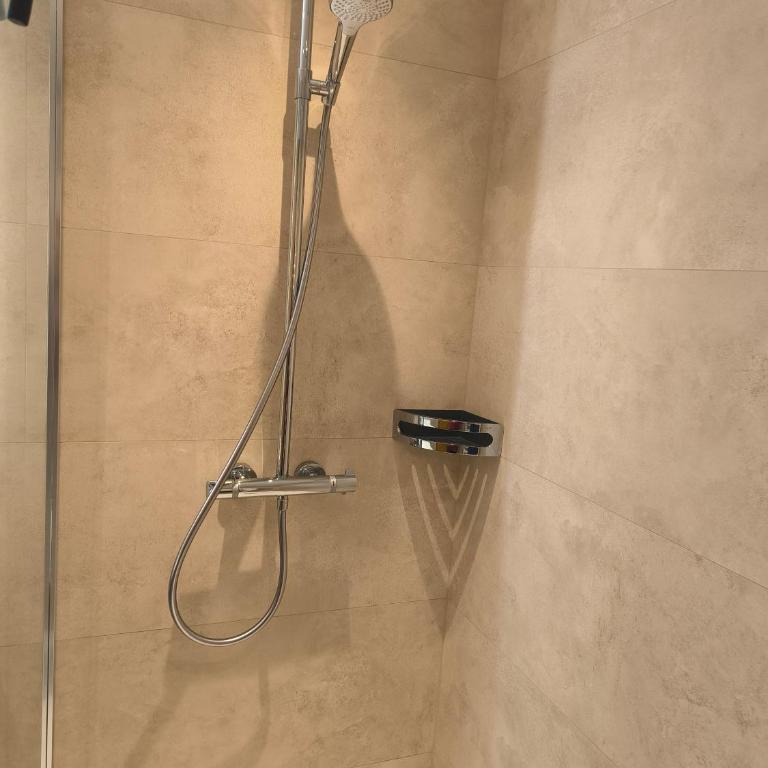 Apparthaus Alpina - Appartamento con 1 Camera da Letto - 1