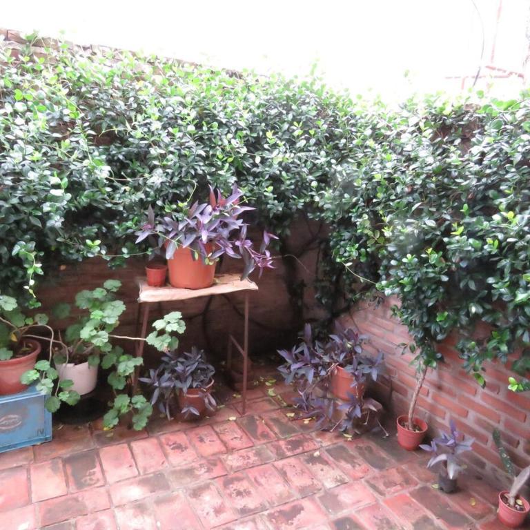 Villa Celinda - Casa de 2 dormitorios - 11