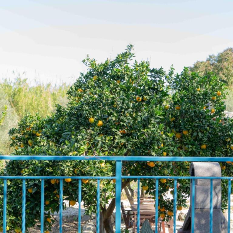 Casale Scirbia - Appartamento con Vista Giardino - 12