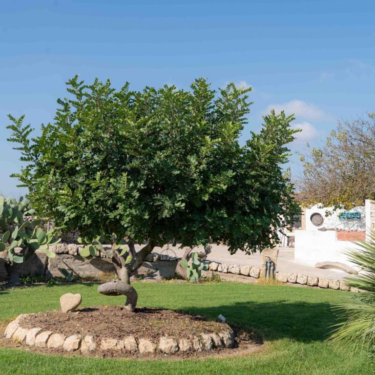 Casale Scirbia - Appartamento con Vista Giardino - 16