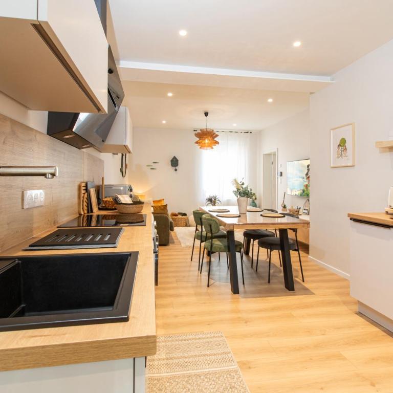 Colmar Centre - Le Schickele - garage privé - climatisé - Appartement 2 Chambres - 34