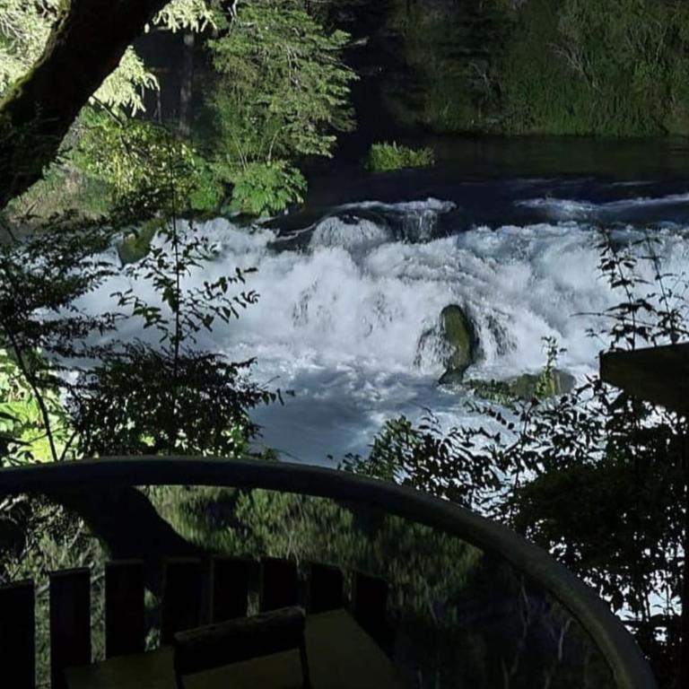 Hotel Salto del Carileufu - Bungalow Deluxe con vistas a la cascada - 12