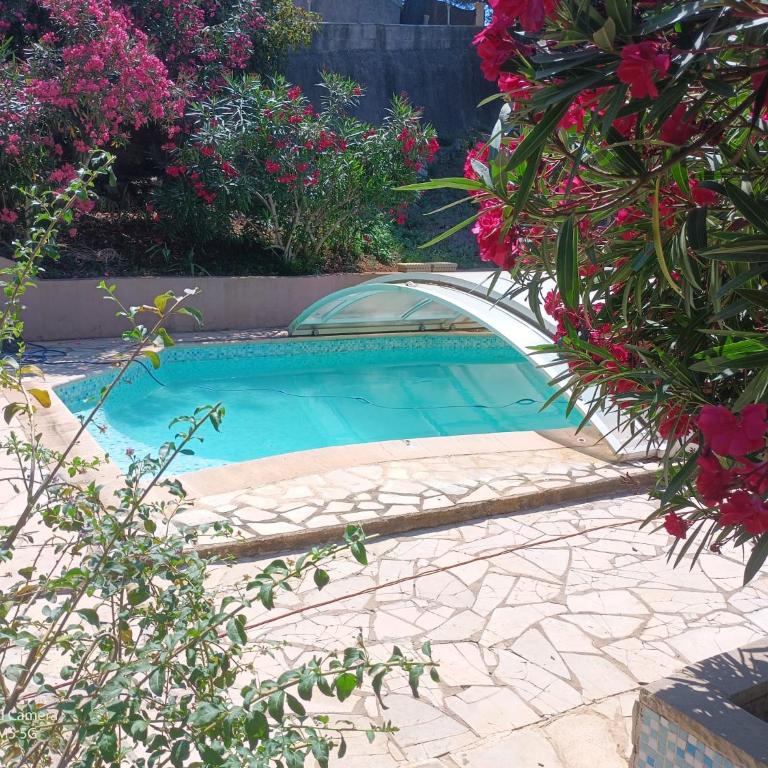 Studio dans Villa Don Quijote Nice - Apartamento de 1 dormitorio - 65