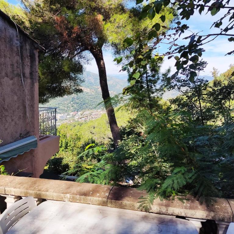Studio dans Villa Don Quijote Nice - Apartamento de 1 dormitorio - 72