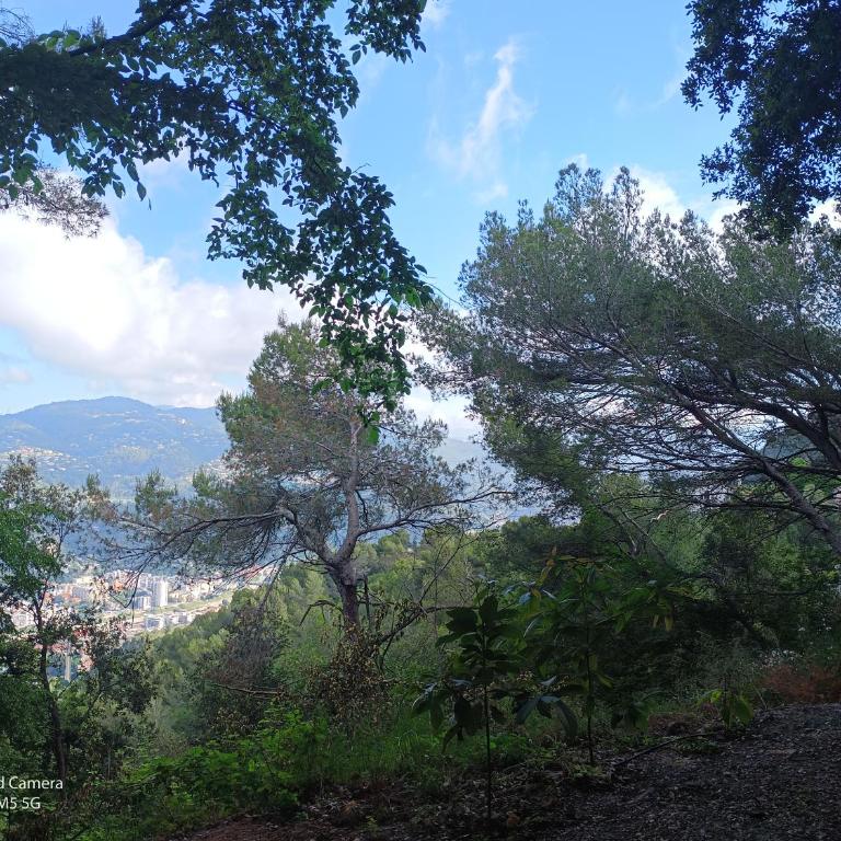 Studio dans Villa Don Quijote Nice - Apartamento de 1 dormitorio - 92