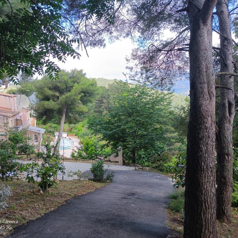 Studio dans Villa Don Quijote Nice - Apartamento de 1 dormitorio - 91