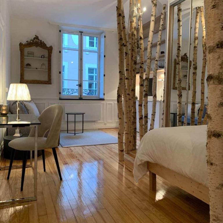 La Suite Carmen - Hypercentre de Reims - Appartement 1 Chambre - 2