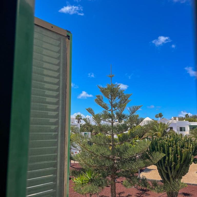 Apartamento familiar - Three-Bedroom Apartment - 15
