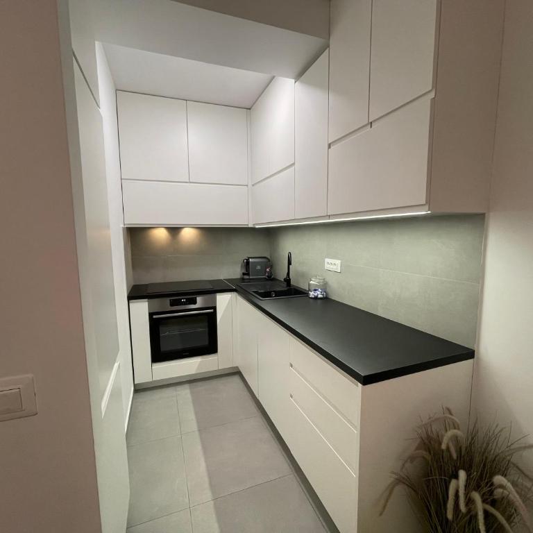Apartman Ognjen - Apartman sa 1 Spavaćom Sobom - 4