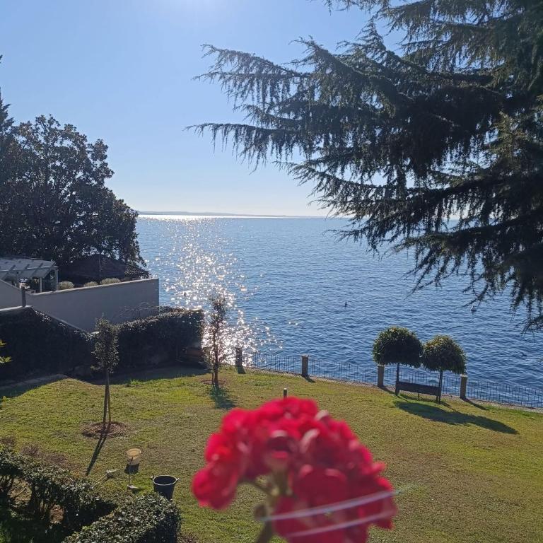 Bethel House - Appartamento Monolocale - 5