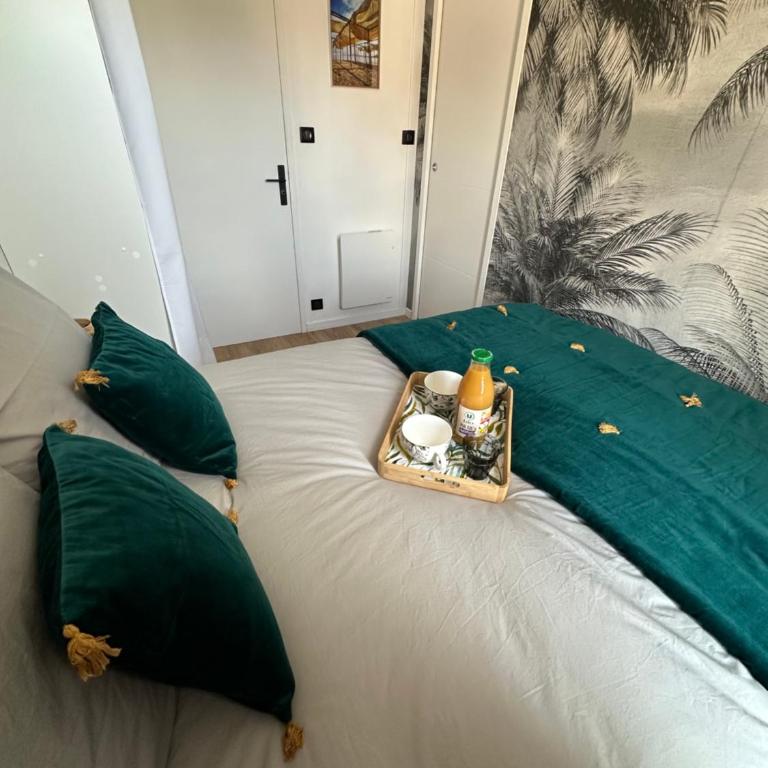 T2 neuf- Balcon-Vue privilégiée Océan - Sud Ouest - Apartamento de 1 dormitorio - 36
