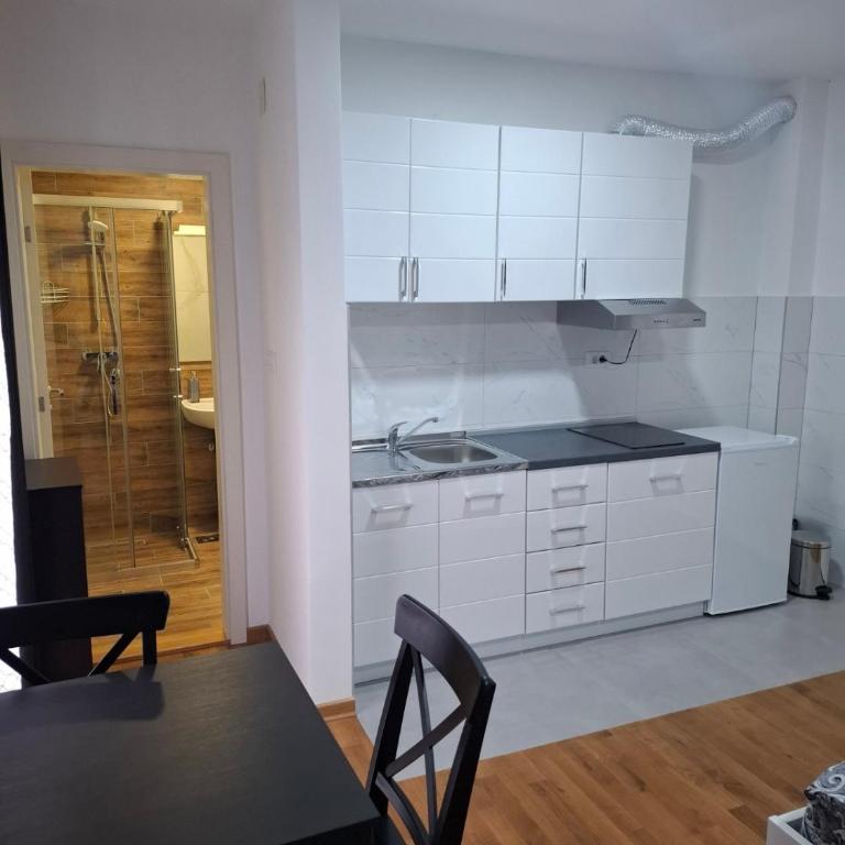 Apartman STAR Vrnjačka Banja - Studio-Apartment - 2