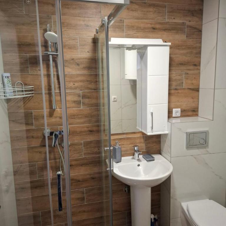 Apartman STAR Vrnjačka Banja - Studio-Apartment - 9