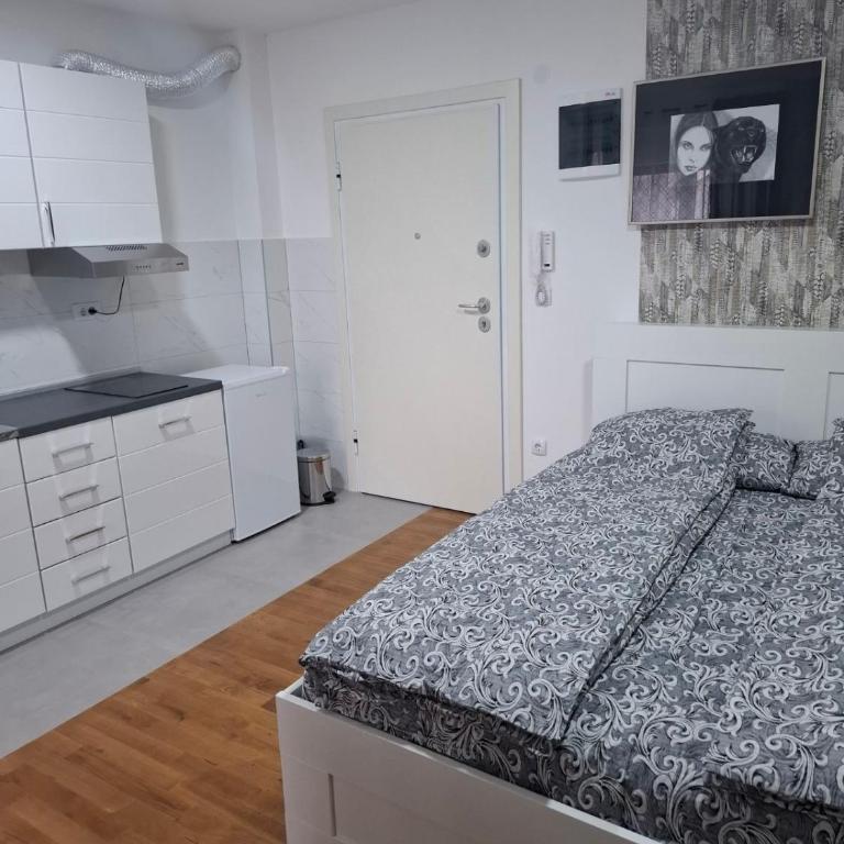 Apartman STAR Vrnjačka Banja - Studio-Apartment - 17
