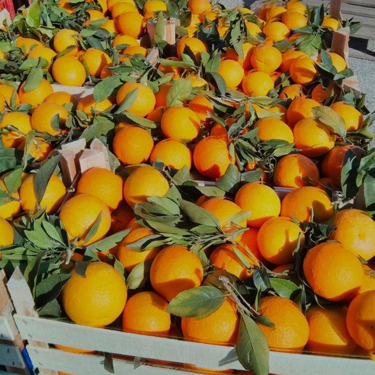 Sicilian Garden - Appartamento con 1 Camera da Letto - 12