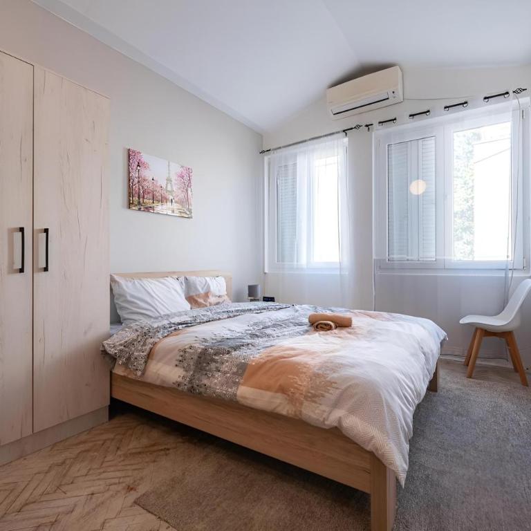 Podgorica City Centre - Apartman sa 1 Spavaćom Sobom - 1