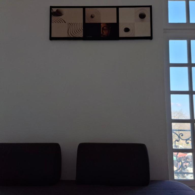 Logement Haussmannien Lumineux Bordeaux Centre - Appartement 1 Chambre - 4
