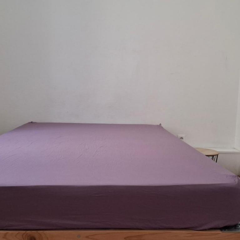 Logement Haussmannien Lumineux Bordeaux Centre - Appartement 1 Chambre - 6