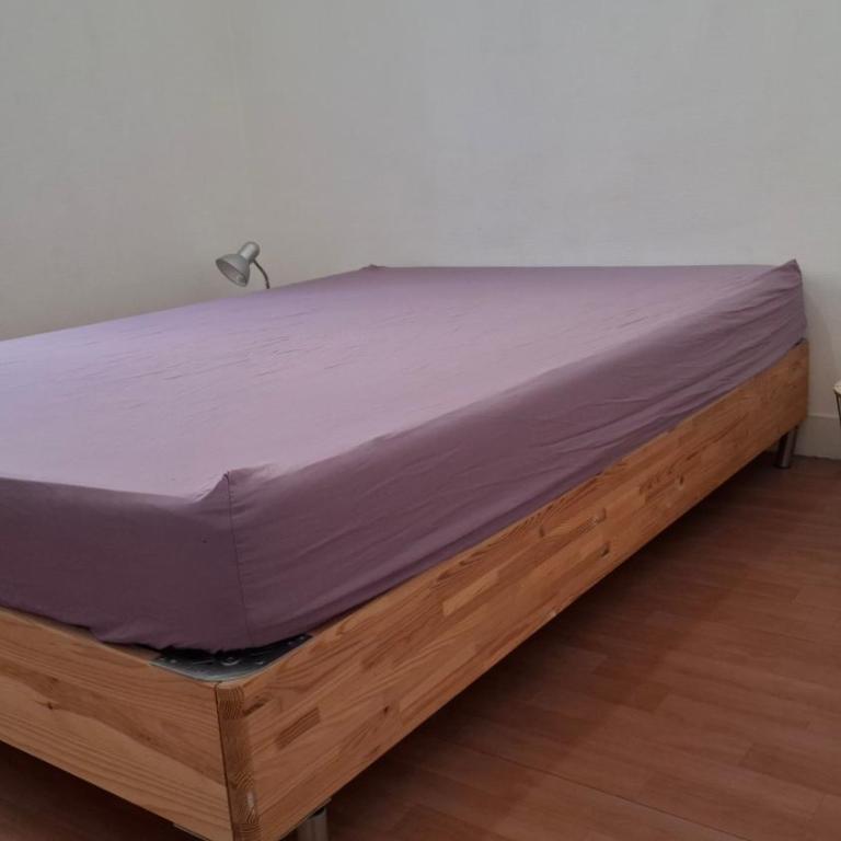 Logement Haussmannien Lumineux Bordeaux Centre - Appartement 1 Chambre - 5