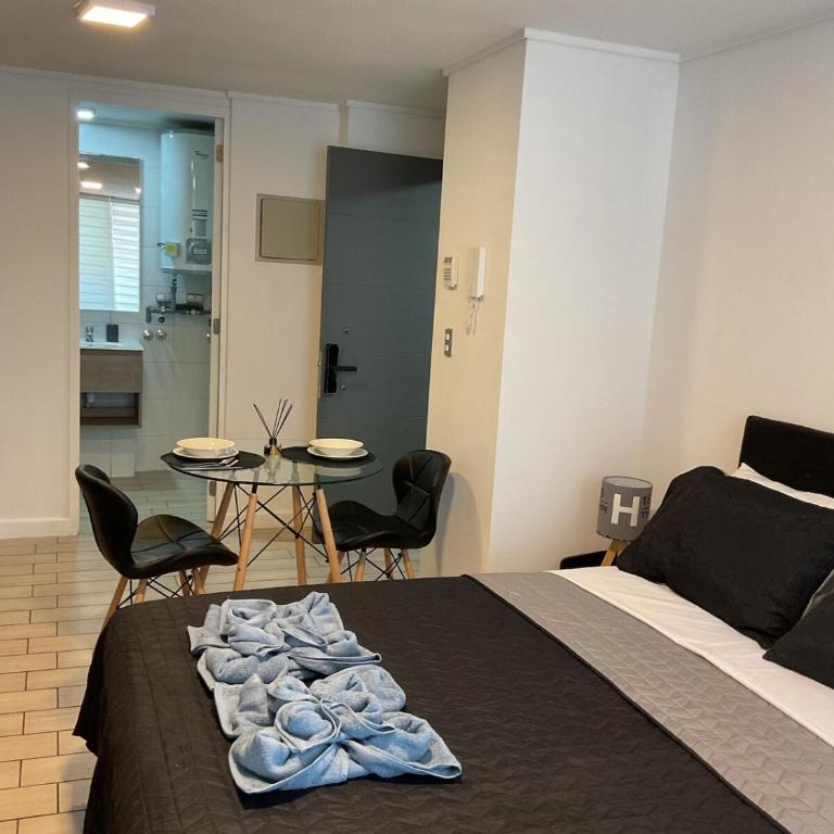 Acogedor departamento en el centro de Santiago - One-Bedroom Apartment - 7