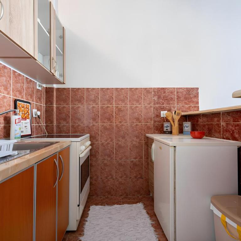 Podgorica City Center - Apartman sa 1 Spavaćom Sobom - 9