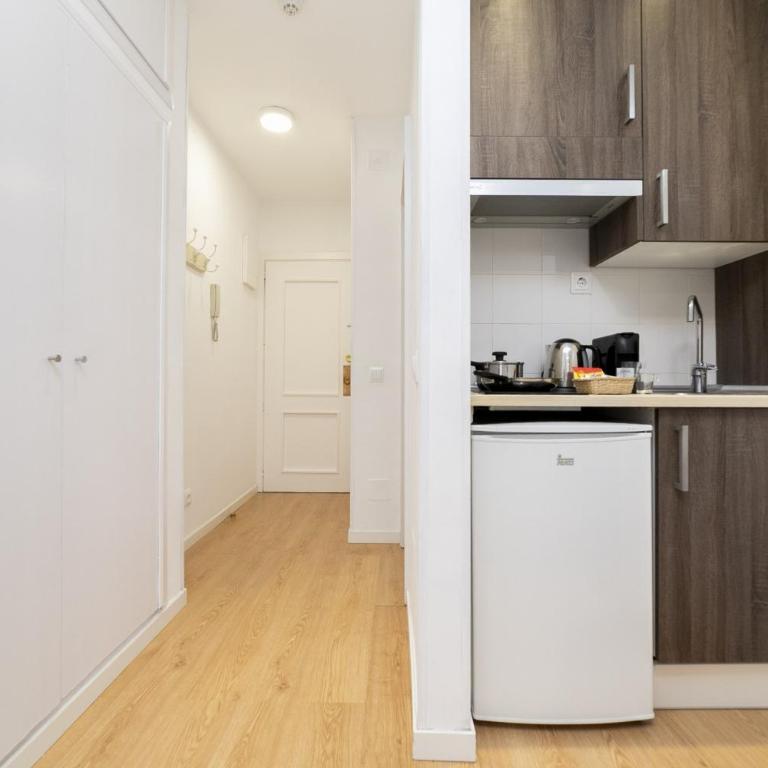 Luxury IV - Ferga Suites - Deluxe King Studio - 11