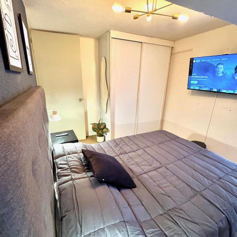 Apartment in the center of Mexico City - Apartamento - 40