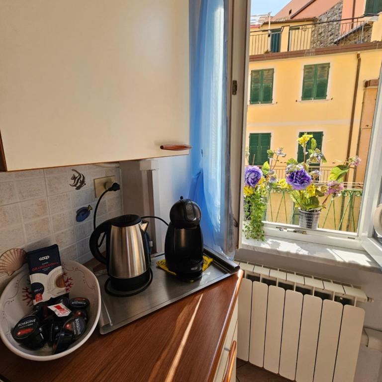 GRAZIOSA -CENTRO RIOMAGGIORE- 5 Terre- - Apartment mit Balkon - 10