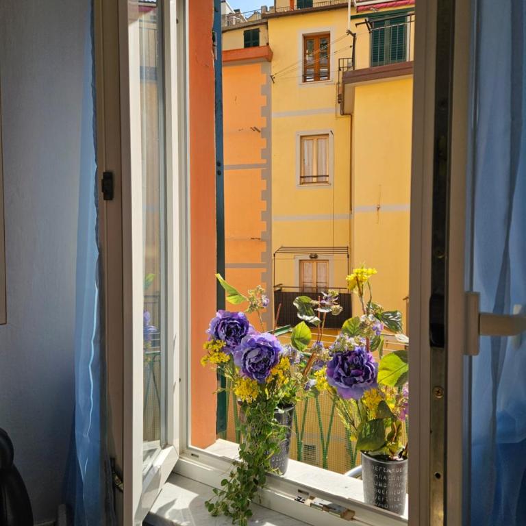 GRAZIOSA -CENTRO RIOMAGGIORE- 5 Terre- - Apartment mit Balkon - 13