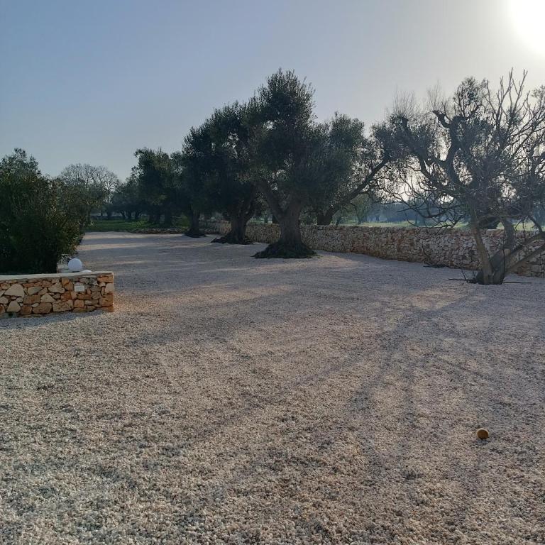 Trullo Bianco Ulivo - Two-Bedroom House - 6