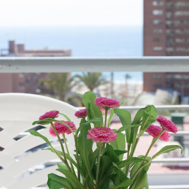 Apartamentos Niza - Apartamento de 1 dormitorio - 12