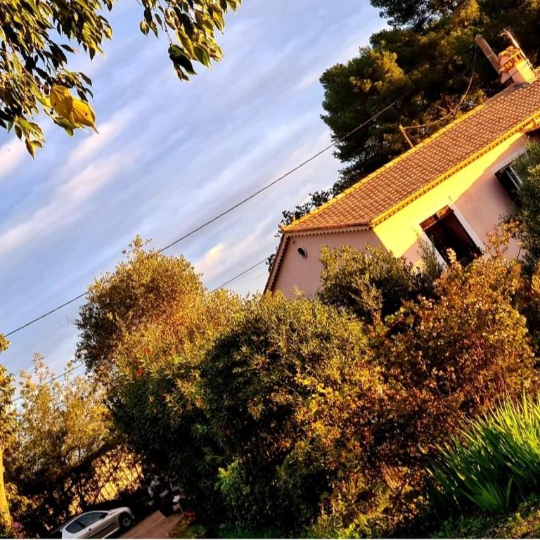 Beautiful sea view, quiet in agricultural property - Villa 2 Chambres - 37