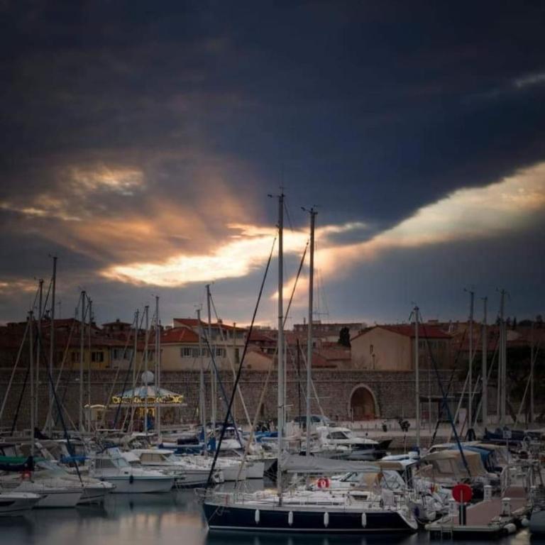 Beautiful sea view, quiet in agricultural property - Villa 2 Chambres - 72