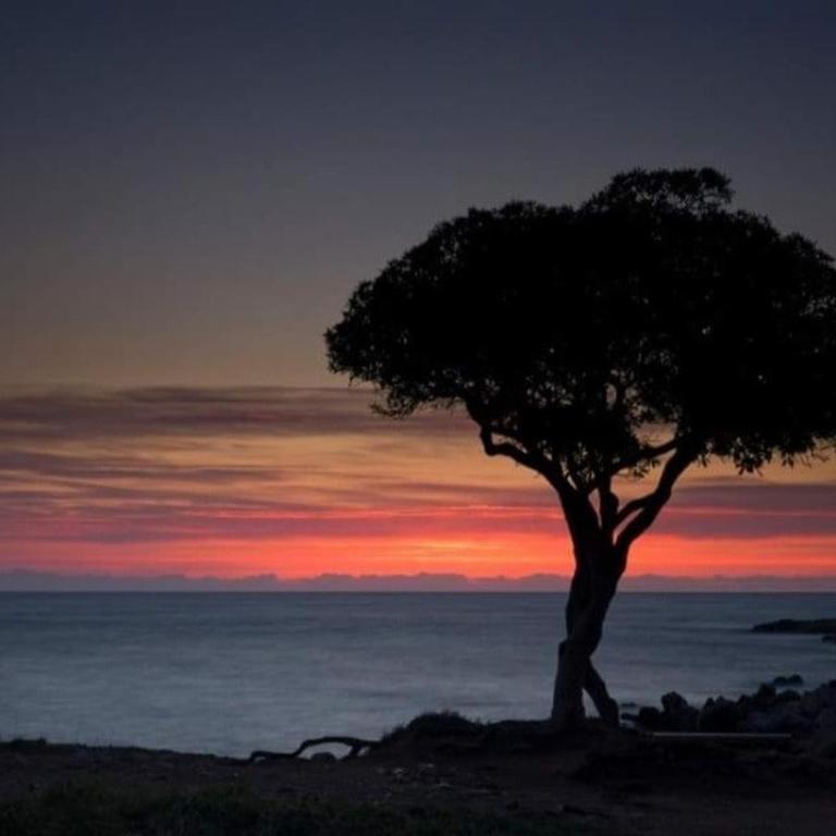 Beautiful sea view, quiet in agricultural property - Villa 2 Chambres - 75