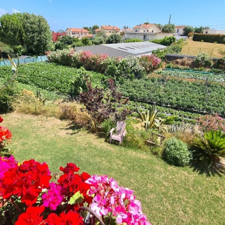 Beautiful sea view, quiet in agricultural property - Villa 2 Chambres - 68