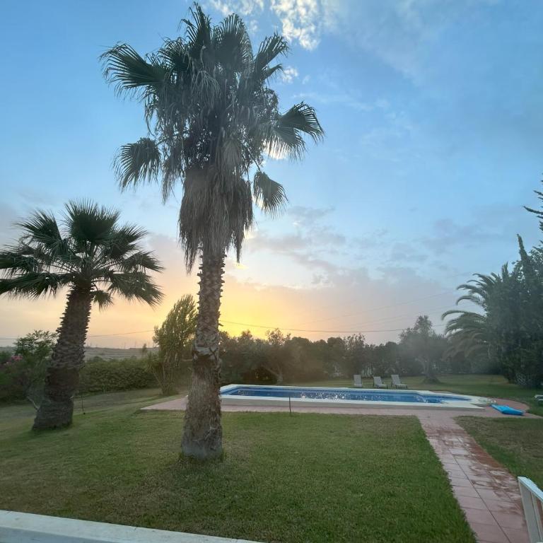 Casa Miru - Villa - 29