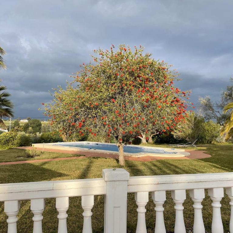 Casa Miru - Villa - 27