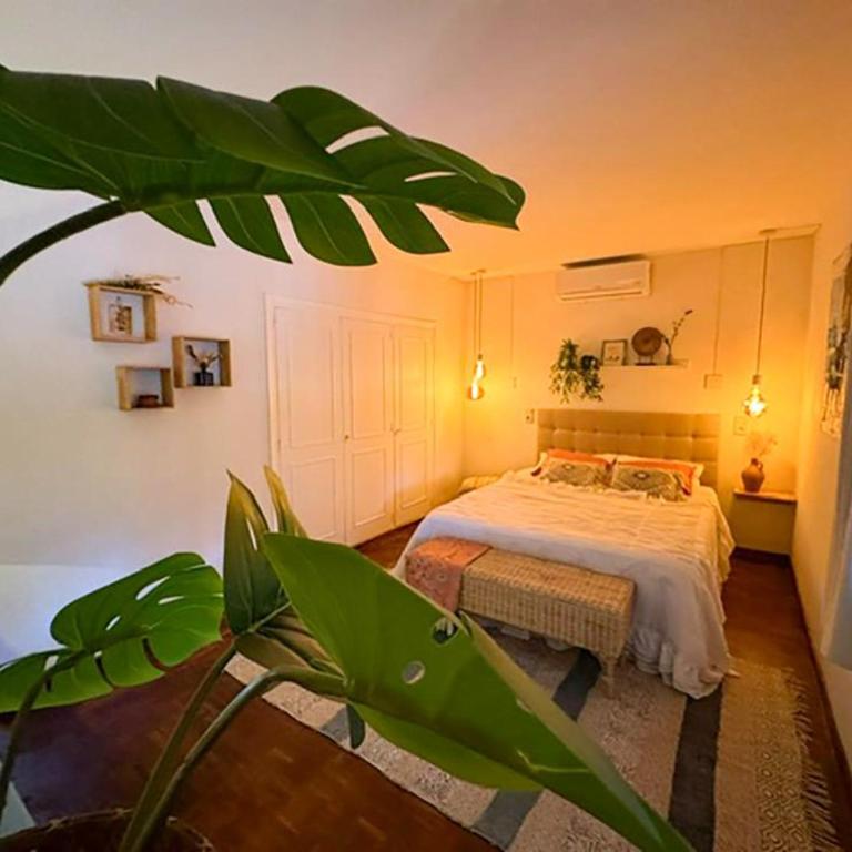 Canuta Baja - Casa - 23