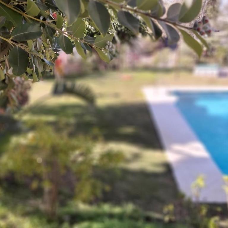 Interpares Swimmingpool by Del Parque Flats - Apartamento Familiar de 2 dormitorios con vistas - 57