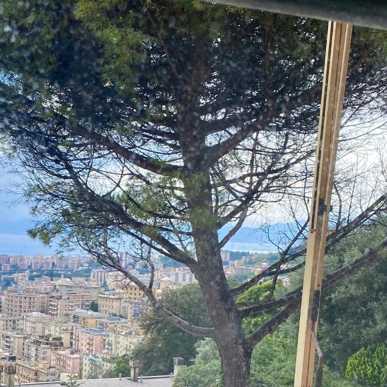 Genoa view & hiking in italian riviera - Appartamento con 2 Camere da Letto - 23