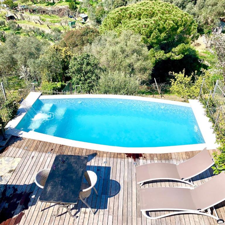 Villa Rosa - Villa - 7