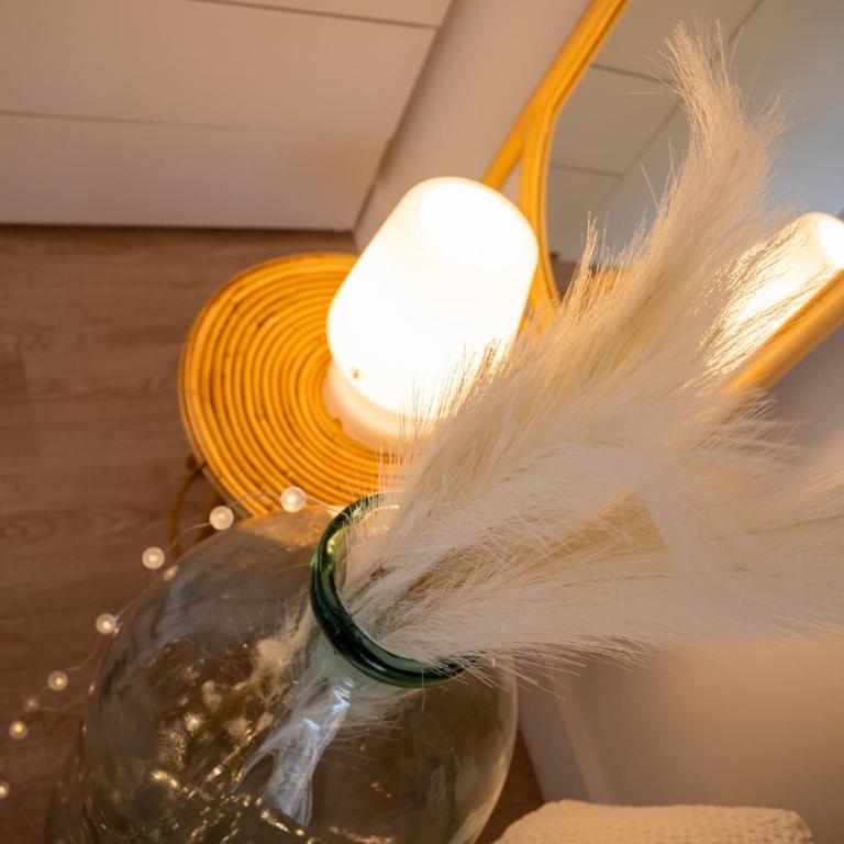 Spondeo Studio - Plein coeur du Vieux Port - Appartement 1 Chambre - 5