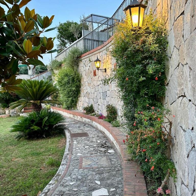 Villa Amalu Capri Piscina e Giardino - Vacation Home - 26