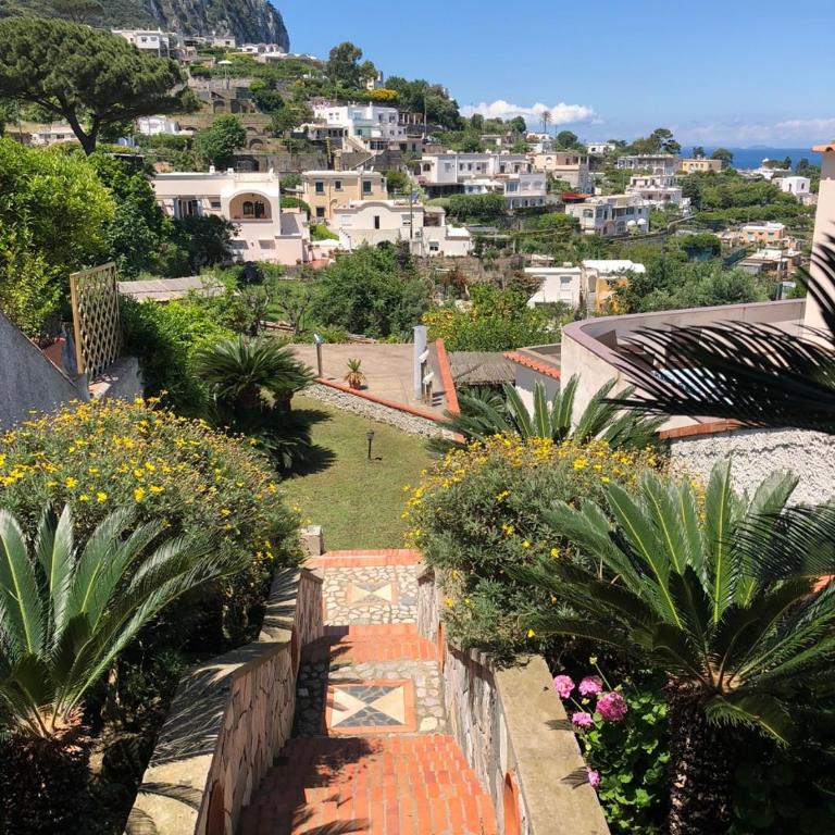 Villa Amalu Capri Piscina e Giardino - Vacation Home - 24