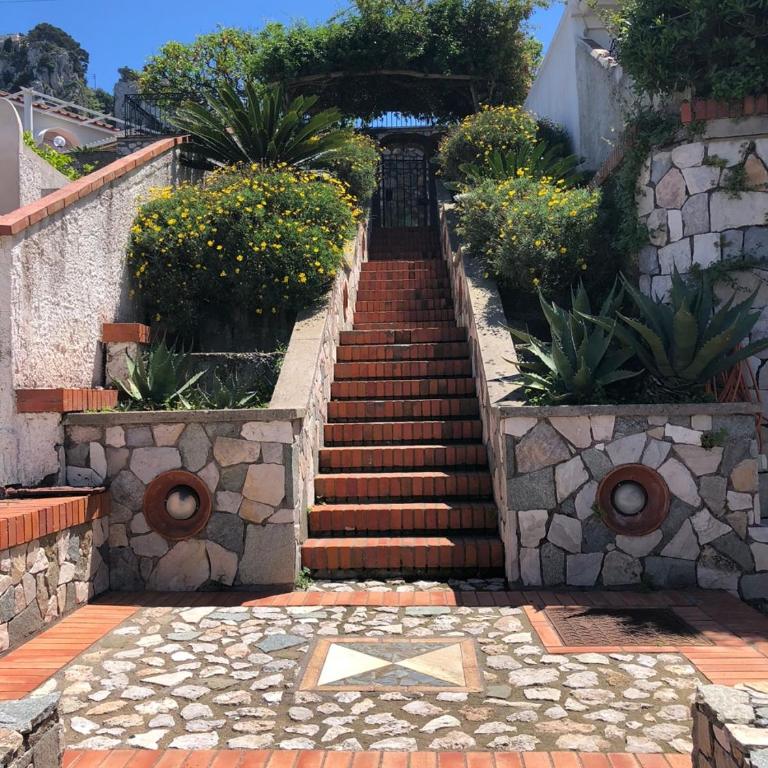 Villa Amalu Capri Piscina e Giardino - Vacation Home - 23