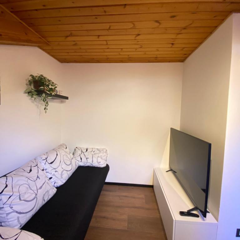 Romantica Mansarda Alpina-Ski & Natura - Apartamento de 1 dormitorio - 23