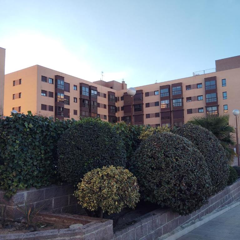 Aeropuerto IFEMA 3 - One-Bedroom Apartment - 29
