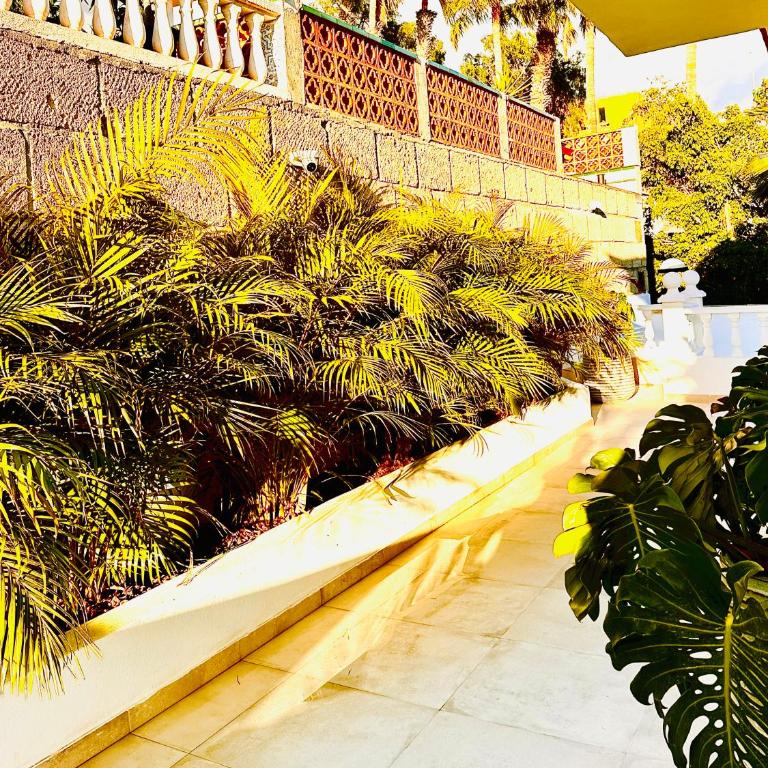 Villa Margarita ocean view and private heated pool - Villa con vistas al mar - 65